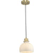 Garris Mini Pendant-Mini Pendants-Progress Lighting-Lighting Design Store