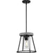Laramie Pendant-Pendants-Progress Lighting-Lighting Design Store