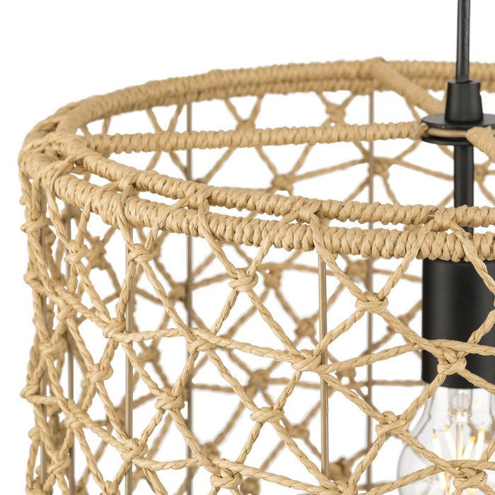 Chandra Pendant-Pendants-Progress Lighting-Lighting Design Store