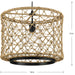Chandra Pendant-Pendants-Progress Lighting-Lighting Design Store