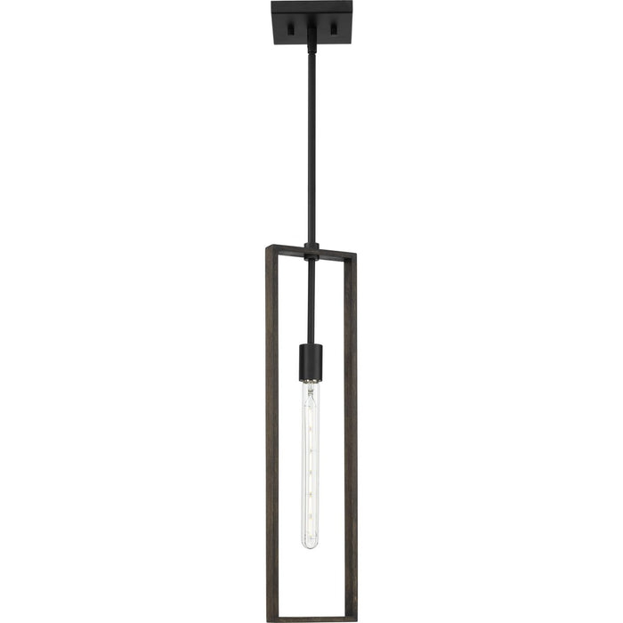 Boundary One Light Pendant-Mini Pendants-Progress Lighting-Lighting Design Store