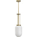 Alisse One Light Pendant-Mini Pendants-Progress Lighting-Lighting Design Store