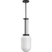Alisse One Light Pendant-Mini Pendants-Progress Lighting-Lighting Design Store