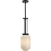 Alisse One Light Pendant-Mini Pendants-Progress Lighting-Lighting Design Store