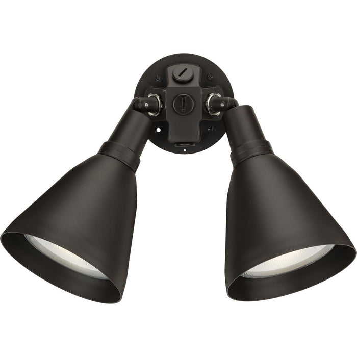 Two Light Flood Light-Exterior-Progress Lighting-Lighting Design Store