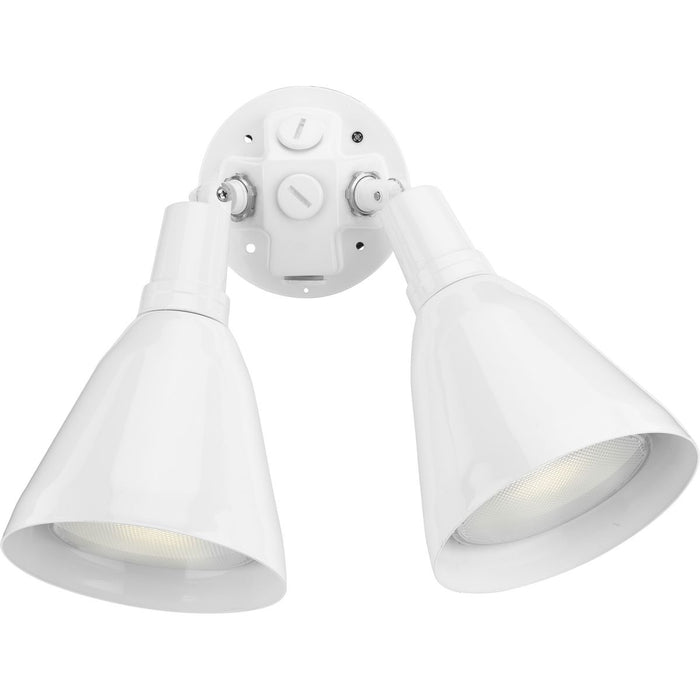Two Light Flood Light-Exterior-Progress Lighting-Lighting Design Store