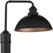 Englewood Post Lantern-Exterior-Progress Lighting-Lighting Design Store
