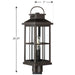 Williamston Post Lantern-Exterior-Progress Lighting-Lighting Design Store