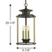 Squire Hanging Lantern-Exterior-Progress Lighting-Lighting Design Store