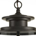 Squire Hanging Lantern-Exterior-Progress Lighting-Lighting Design Store