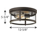Gunther Flush Mount-Exterior-Progress Lighting-Lighting Design Store