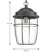 Holcombe Hanging Lantern-Exterior-Progress Lighting-Lighting Design Store