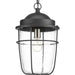 Holcombe Hanging Lantern-Exterior-Progress Lighting-Lighting Design Store