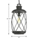 Hollingsworth Hanging Lantern-Exterior-Progress Lighting-Lighting Design Store