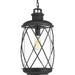 Hollingsworth Hanging Lantern-Exterior-Progress Lighting-Lighting Design Store