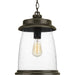 Conover Hanging Lantern-Exterior-Progress Lighting-Lighting Design Store