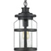 Haslett Hanging Lantern-Exterior-Progress Lighting-Lighting Design Store