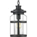 Haslett Hanging Lantern-Exterior-Progress Lighting-Lighting Design Store