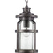 Haslett Hanging Lantern-Exterior-Progress Lighting-Lighting Design Store