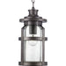 Haslett Hanging Lantern-Exterior-Progress Lighting-Lighting Design Store