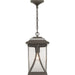 Abbott Hanging Lantern-Exterior-Progress Lighting-Lighting Design Store
