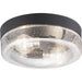 Weldon Flush Mount-Exterior-Progress Lighting-Lighting Design Store