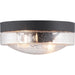 Weldon Flush Mount-Exterior-Progress Lighting-Lighting Design Store