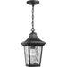 Marquette Hanging Lantern-Exterior-Progress Lighting-Lighting Design Store