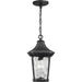 Marquette Hanging Lantern-Exterior-Progress Lighting-Lighting Design Store