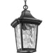 Marquette Hanging Lantern-Exterior-Progress Lighting-Lighting Design Store