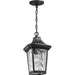 Marquette Hanging Lantern-Exterior-Progress Lighting-Lighting Design Store