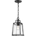 Benton Harbor Hanging Lantern-Exterior-Progress Lighting-Lighting Design Store