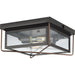 Barlowe Flush Mount-Exterior-Progress Lighting-Lighting Design Store