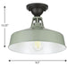 Cedar Springs Semi Flush Mount-Exterior-Progress Lighting-Lighting Design Store