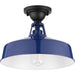 Cedar Springs Semi Flush Mount-Exterior-Progress Lighting-Lighting Design Store