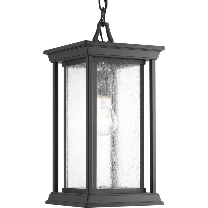 Endicott Hanging Lantern-Exterior-Progress Lighting-Lighting Design Store