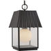 Point Dume-Hook Pond One Light Outdoor Hanging Lantern-Exterior-Progress Lighting-Lighting Design Store