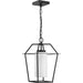 Chilton Outdoor Hanging Lantern-Exterior-Progress Lighting-Lighting Design Store