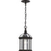 Dillard Outdoor Hanging Lantern-Exterior-Progress Lighting-Lighting Design Store