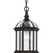 Dillard Outdoor Hanging Lantern-Exterior-Progress Lighting-Lighting Design Store