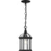 Dillard Outdoor Hanging Lantern-Exterior-Progress Lighting-Lighting Design Store