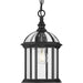 Dillard Outdoor Hanging Lantern-Exterior-Progress Lighting-Lighting Design Store