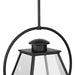 Bradshaw Outdoor Hanging Lantern-Exterior-Progress Lighting-Lighting Design Store