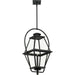 Bradshaw Outdoor Hanging Lantern-Exterior-Progress Lighting-Lighting Design Store