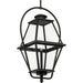Bradshaw Outdoor Hanging Lantern-Exterior-Progress Lighting-Lighting Design Store