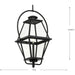 Bradshaw Outdoor Hanging Lantern-Exterior-Progress Lighting-Lighting Design Store