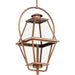 Bradshaw Outdoor Hanging Lantern-Exterior-Progress Lighting-Lighting Design Store