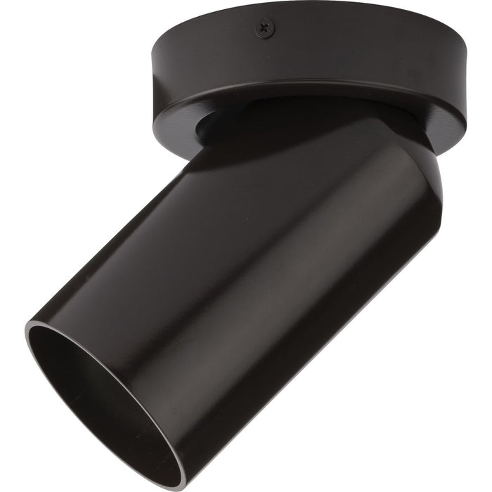 One Light Adjustable Ceiling Mount-Exterior-Progress Lighting-Lighting Design Store