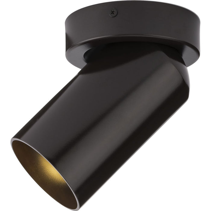 One Light Adjustable Ceiling Mount-Exterior-Progress Lighting-Lighting Design Store