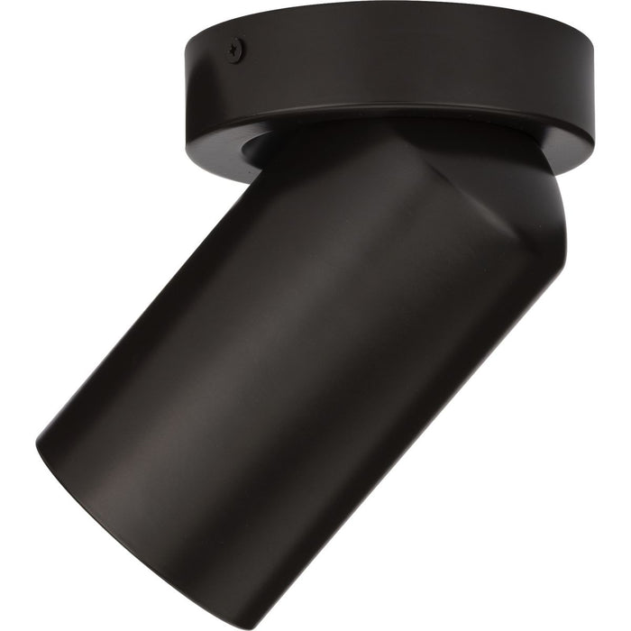 One Light Adjustable Ceiling Mount-Exterior-Progress Lighting-Lighting Design Store